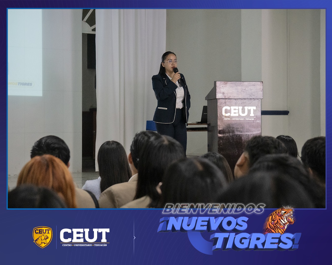 BIENVENIDA NUEVOS TIGRES 1