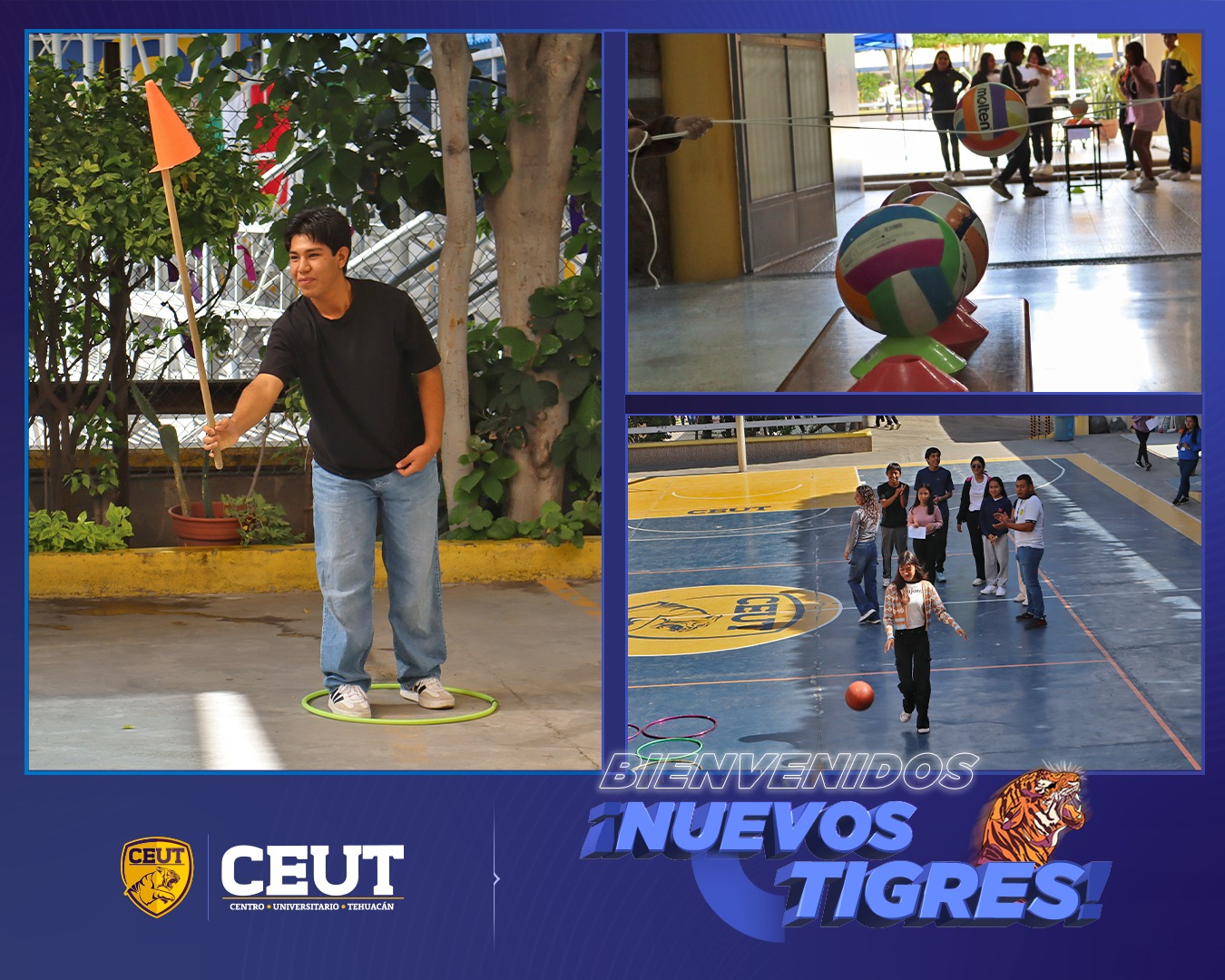 BIENVENIDA NUEVOS TIGRES 5