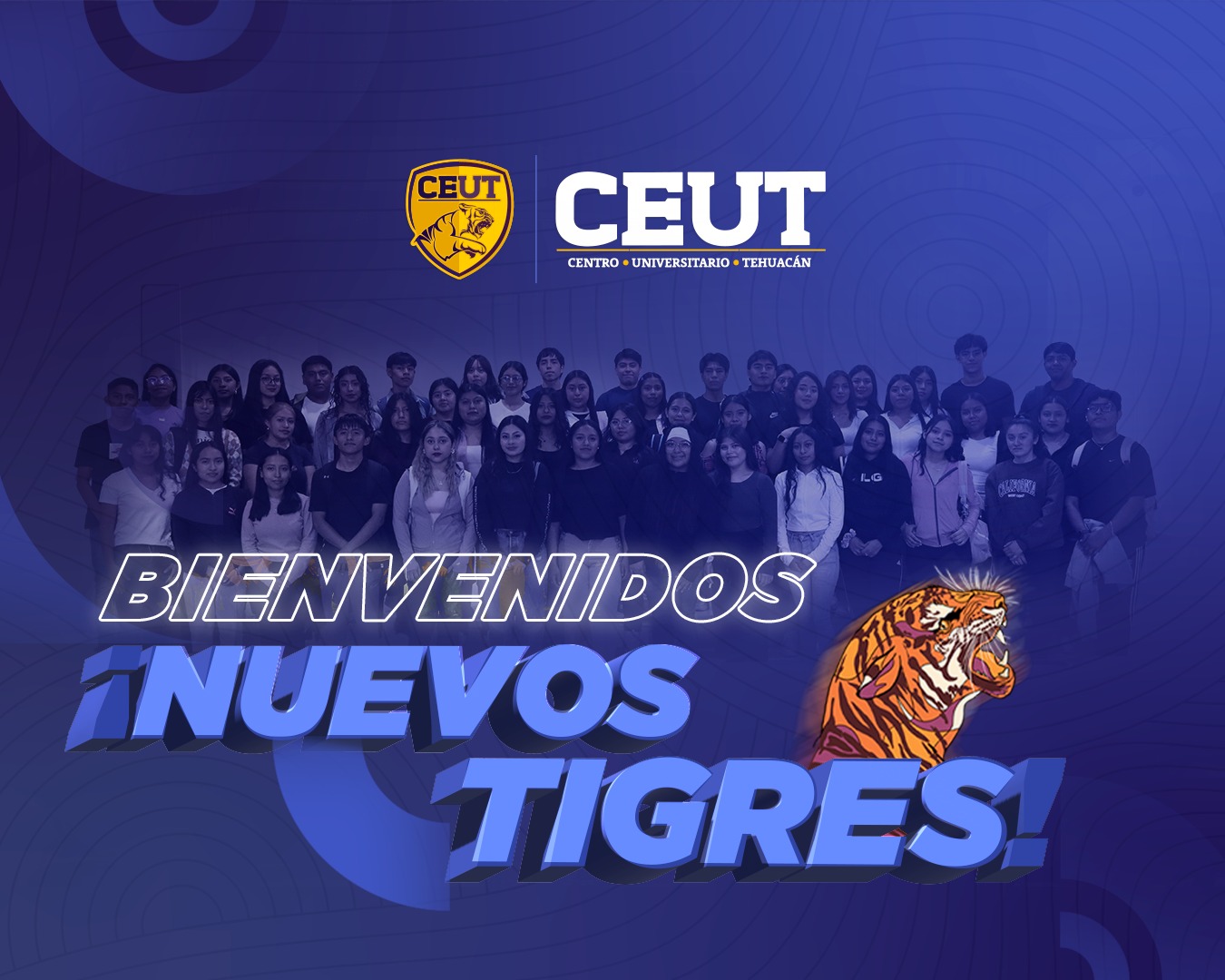 BIENVENIDA NUEVOS TIGRES
