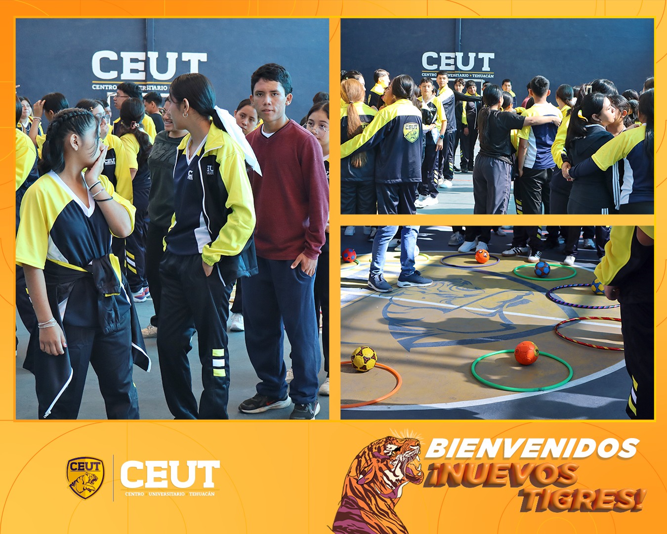 NUEVOS TIGRES PREPA 2