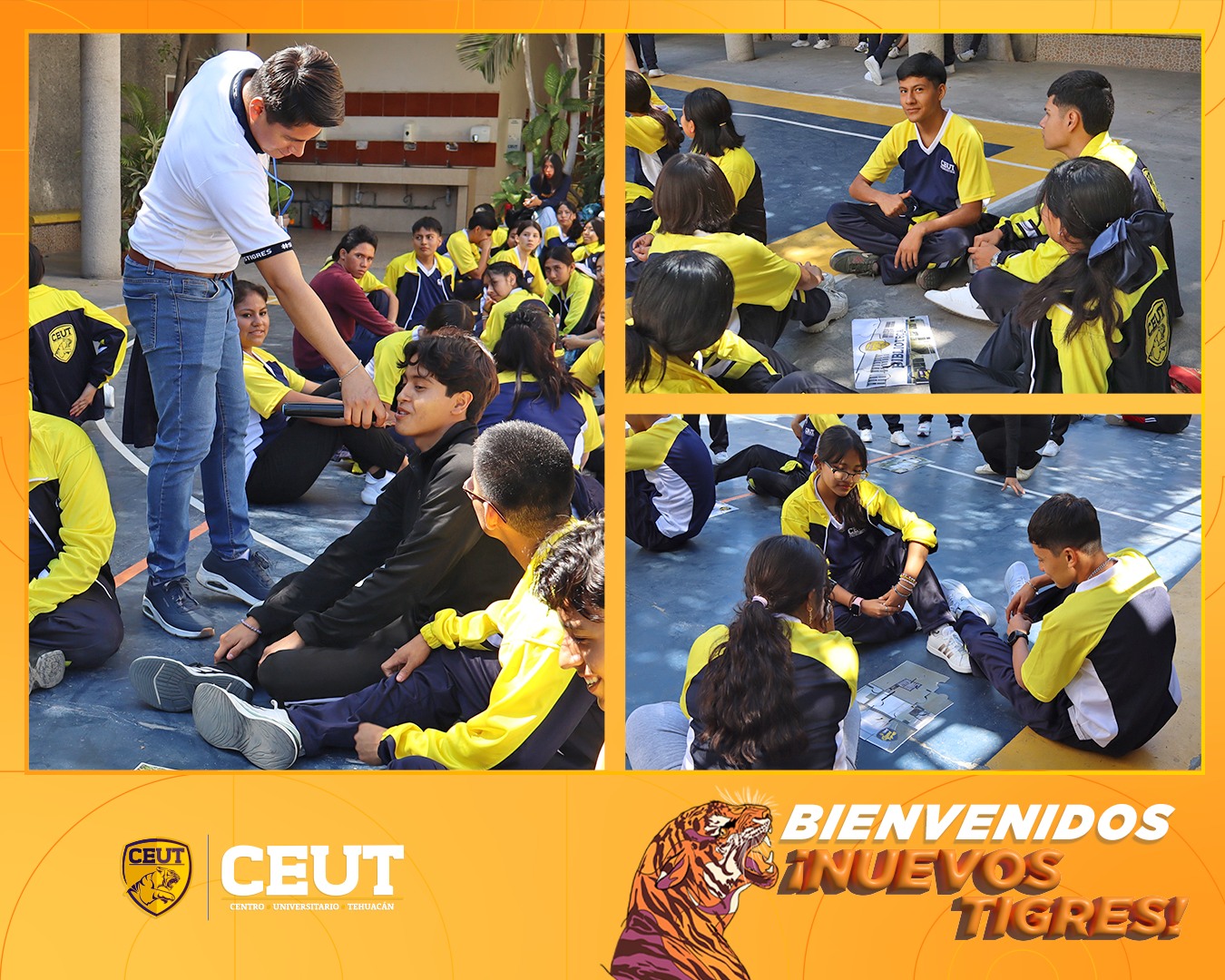 NUEVOS TIGRES PREPA 5